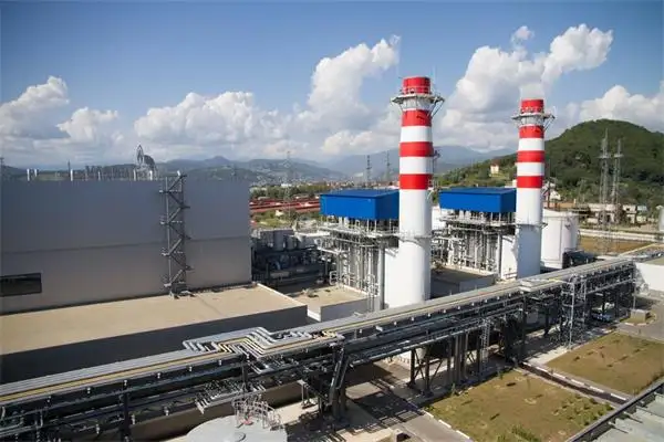 未做环评、未环保验收、未配套废气处理设备，一公司被罚近50万