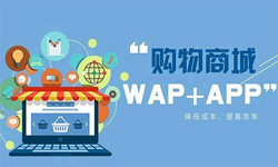 手机商城app安博线上平台流程-北京安博线上平台外包公司