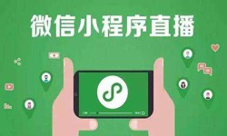 微信小程序开发、直播小程序开发-锐智互动安博线上平台公司 