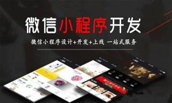 安博线上平台公司、定制微信小程序开发，商家需要了解哪些？锐智互动安博线上平台