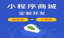 微信小程序开发、商城小程序开发功能-锐智互动安博线上平台
